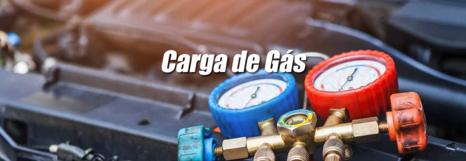 Carga de Gs